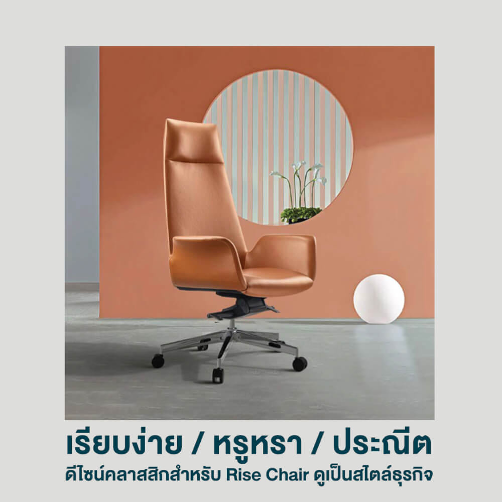 เก้าอี้ผู้บริหารหนังแท้ DF PROCHAIR รุ่น Rise Chair สีน้ำตาล